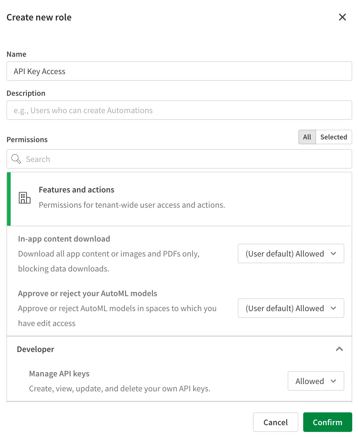 a screenshot of creating a custom role with the API key permission